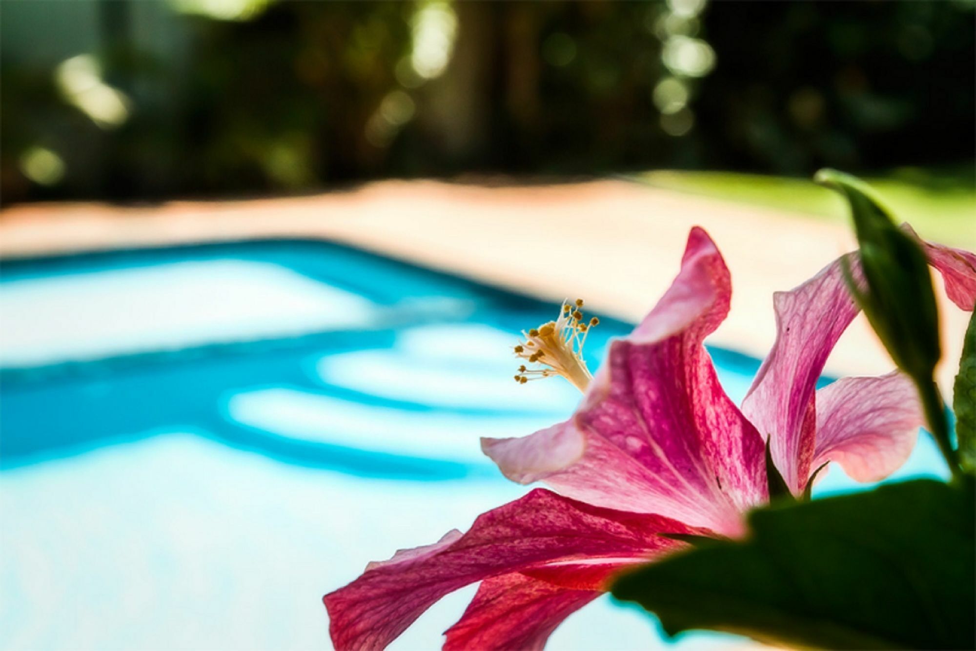 Coffs Harbour Holiday Apartments Εξωτερικό φωτογραφία